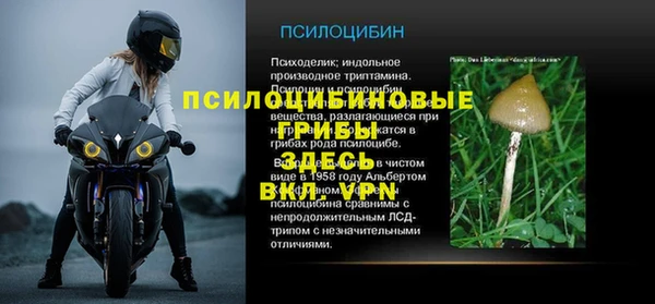бошки Абинск