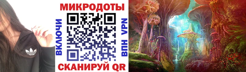 Псилоцибиновые грибы Magic Shrooms  сколько стоит  Вологда 
